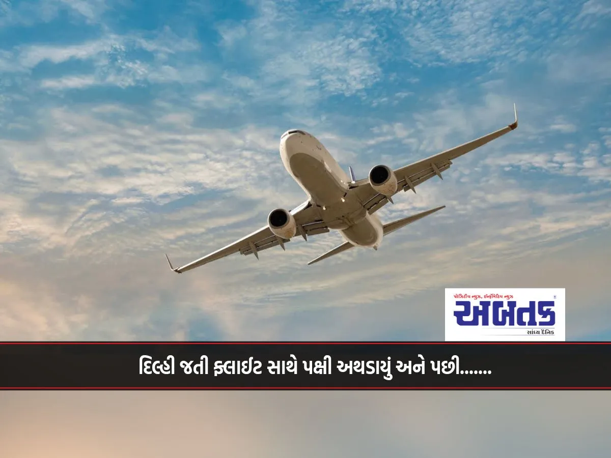 A Bird Hit A Delhi-Bound Flight And Then...
