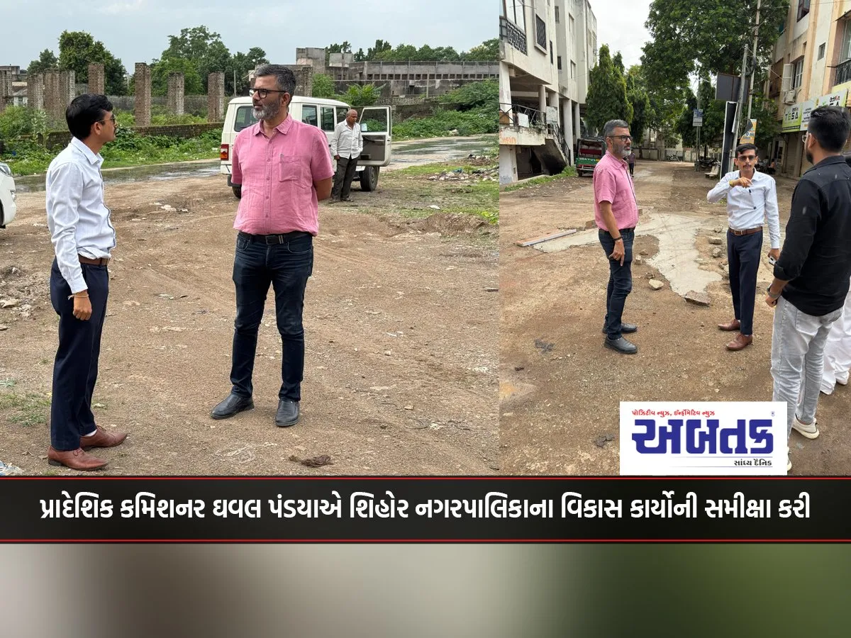Regional Commissioner Dhaval Pandya Reviews Development Works Of Shihor Municipality