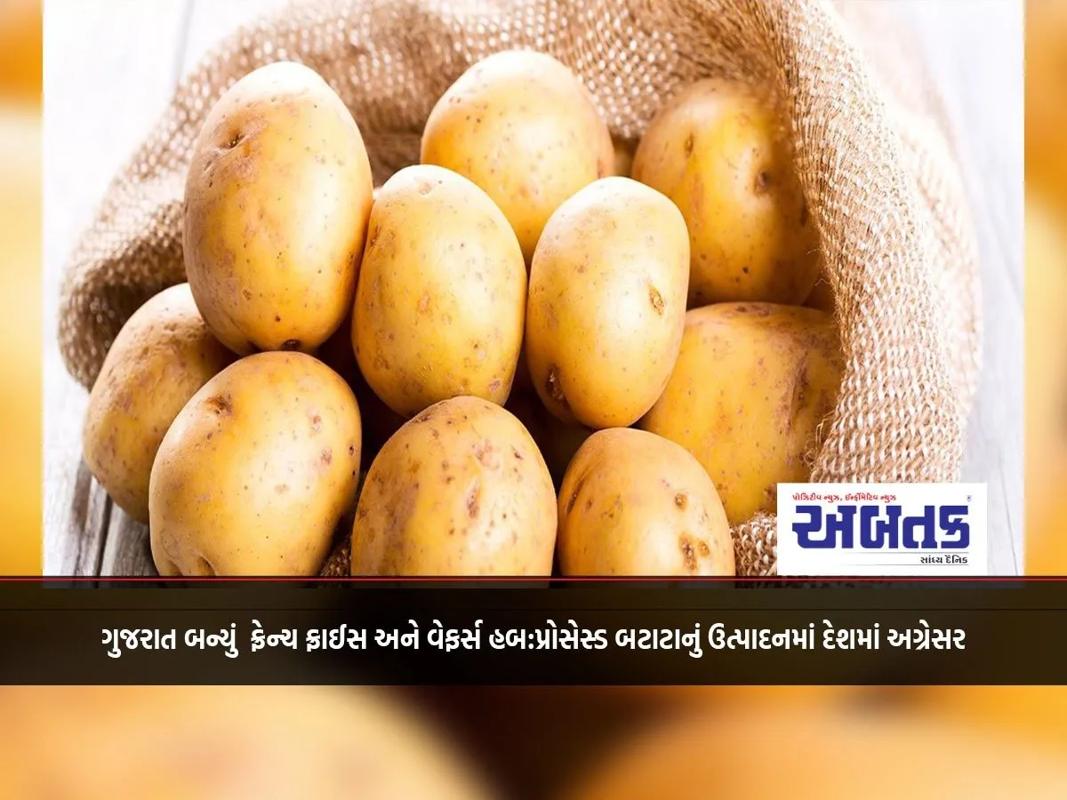 Gujarat Becomes French Fries And Wafers Hub: Leading In The Country In The Production Of Processed Potatoes