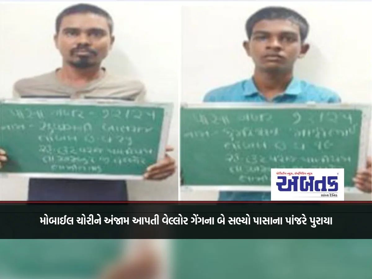 Two Members Of Vellore Gang Involved In Mobile Theft Arrested In Pasha Jail