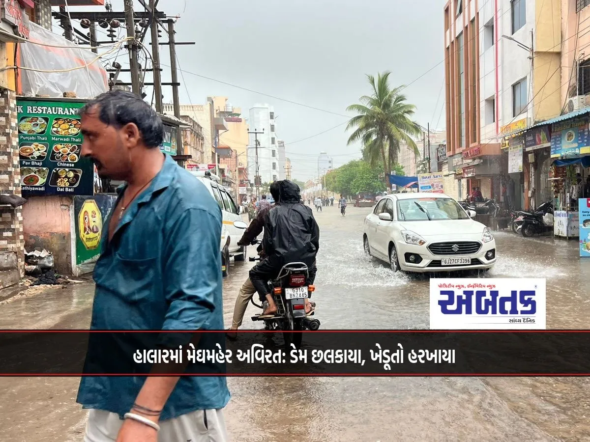 Heavy Rains Continue In Halar: Dams Overflow, Farmers Rejoice